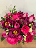 Magenta Dreams